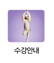 루시드 요가 (Yoga&PT) 